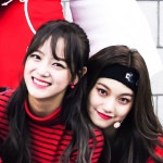 #13299968 | 세정_구구단 | 아이돌 팬덤 순위 최애돌