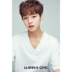 #13526508 | 박지훈_Wanna One | 아이돌 팬덤 순위 최애돌