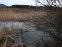 자작찌 > 대호만 줄기따라~~ : 낚시사랑