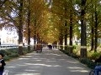 얼떨결에 다녀온 전라남도 담양 (상) - 국내 여행 갤러리