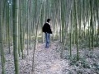 얼떨결에 다녀온 전라남도 담양 (상) - 국내 여행 갤러리