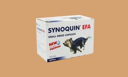 기획전 > 라온펫동물병원 인기상품 모음, 신세계적 쇼핑포털 SSG.COM 라온펫동물병원 인기상품 모음