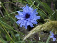  My very private Vienna - Page 7 - SkyscraperCity