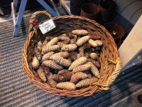  My very private Vienna - Page 7 - SkyscraperCity