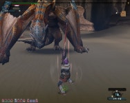 몬스터헌터 인벤 : 71티가 5분침 성공 - 몬스터헌터 인벤 헌팅갤러리 몬스터헌터 인벤 : 71티가 5분침 성공