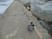 대항해시대 인벤 : 강안스파링체육관 단원모집합니다 - 대항해시대 인벤 스크린샷 게시판 대항해시대 인벤 : 강안스파링체육관 단원모집합니다