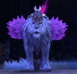 테라(TERA) 인벤 : 오늘 날개달린 백사자봤어요!! - 테라 인벤 사제 게시판 테라(TERA) 인벤 : 오늘 날개달린 백사자봤어요!!