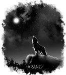 디아블로3 인벤 : 남악사보단 여악사가 좋군여~,~ - 디아블로3 인벤 악마사냥꾼 디아블로3 인벤 : 남악사보단 여악사가 좋군여~,~