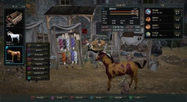 검은사막 인벤 : 5티 아이보리21 + 아이보리19 - 검은사막 인벤 탈것 정보 게시판 검은사막 인벤 : 5티 아이보리21 + 아이보리19