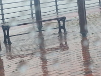 디아블로3 인벤 : 참새 - 디아블로3 인벤 자유게시판