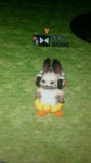 테라(TERA) 인벤 : 모닝 정화짤2 - 테라 인벤 아룬의영광 서버 게시판 테라(TERA) 인벤 : 모닝 정화짤2