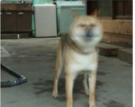 라그나로크 인벤 : 8월 1일 이후 예상 - 라그나로크 인벤 자유게시판 라그나로크 인벤 : 8월 1일 이후 예상