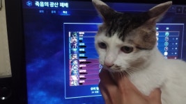 히어로즈 오브 더 스톰 인벤 : [인증]방금 영리 죽음의 광산에서 5픽... 스톰 인벤 : [인증]방금 영리 죽음의 광산에서 5픽 레가르 실수 한 사람입니다.