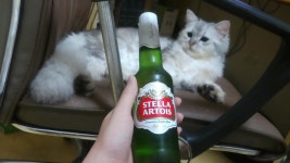 리그오브레전드 인벤 : 신의 음료 마실준비중 - LOL 인벤 자유 게시판2 리그오브레전드 인벤 : 신의 음료 마실준비중