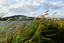 디아블로3 인벤 : 바람이 심상치가 않다 - 디아블로3 인벤 자유게시판 디아블로3 인벤 : 바람이 심상치가 않다