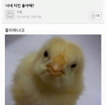 히어로즈 오브 더 스톰 인벤 : 치킨 좋아하나? - 히어로즈 인벤 자유게시판 히어로즈 오브 더 스톰 인벤 : 치킨 좋아하나?