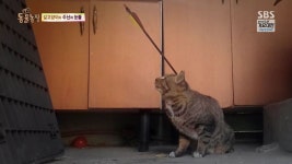 리그오브레전드 인벤 : 22 - LOL 인벤 이미지링크 게시판 리그오브레전드 인벤 : 22