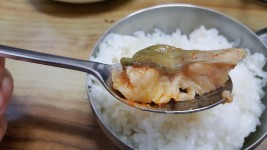 웹진 인벤 : 민물고기 식당 메기매운탕 - 인벤 요리/맛집 갤러리 웹진 인벤 : 민물고기 식당 메기매운탕