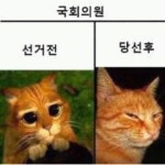 오늘의유머 - 국회의원 선거전 vs 당선후 국회의원 선거전 vs 당선후