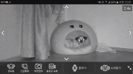 월드오브탱크 인벤 : 우리집 멍뭉이 - 월드오브탱크 인벤 자유게시판 월드오브탱크 인벤 : 우리집 멍뭉이