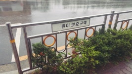 아이돌 마스터 인벤 : 어린이보호구역 .....? - 아이돌마스터 인벤 자유게시판 아이돌 마스터 인벤 : 어린이보호구역 .....?