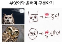 월드 오브 워크래프트 인벤 : 아직도 숟가락 얘기하냐 ㅋㅋ - 와우 인벤 통합 전장 게시판 월드 오브 워크래프트 인벤 : 아직도 숟가락 얘기하냐 ㅋㅋ