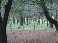 웹진 인벤 : 간단하게 경주여행기(데이터주의!) - 인벤 애니메이션 소모임 웹진 인벤 : 간단하게 경주여행기(데이터주의!)