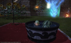 파이널판타지14 인벤 : 이 조경물 마음에 듭니다 - 파이널판타지14 인벤 자유 게시판 파이널판타지14 인벤 : 이 조경물 마음에 듭니다