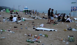 더쿠 - 한국의 흔한 해변가