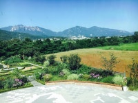 웹진 인벤 : 속초 설악문화센터 카페 소리 - 인벤 요리/맛집 갤러리 - 인벤 웹진 인벤 : 속초 설악문화센터 카페 소리