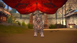 테라(TERA) 인벤 : 백호랑 맹호사이에서 고민한다.... - 테라 인벤 자유게시판 테라(TERA) 인벤 : 백호랑 맹호사이에서 고민한다....