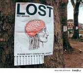 원피스 트레저 크루즈 인벤 : 카루돌다 스테 30 날렸네요 ㅠ - 원피스... 인벤 게시판 원피스 트레저 크루즈 인벤 : 카루돌다 스테 30 날렸네요 ㅠ