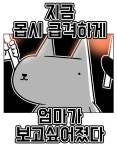 검은사막 인벤 : 아 매화를 해야하나 - 검은사막 인벤 자유게시판 검은사막 인벤 : 아 매화를 해야하나