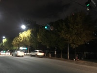 디아블로3 인벤 : 은행나무열매의 지독한 - 디아블로3 인벤 자유게시판 디아블로3 인벤 : 은행나무열매의  지독한