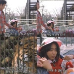 피파온라인3 인벤 : 영화 조제 호랑이 그리고 물고기 - 피파 온라인3 인벤 자유게시판 피파온라인3 인벤 : 영화 조제 호랑이 그리고 물고기