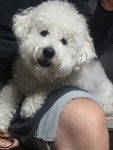 아키에이지 인벤 : -낙산가든-원정대원모집 - 아키에이지 인벤 키프로사 서버 게시판 아키에이지 인벤 : -낙산가든-원정대원모집