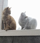 디아블로3 인벤 : 가계부채 증가속도 세계 3위 - 디아블로3 인벤 자유게시판 디아블로3 인벤 : 가계부채 증가속도 세계 3위