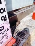 웹진 인벤 : 4박 5일 부산여행 2편 - 인벤 요리/맛집 갤러리 - 인벤 웹진 인벤 : 4박 5일 부산여행 2편