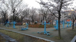 포켓몬 GO 인벤 : 대구 알통몬 소둥지 다녀옴 (스압 주의) - 포켓몬GO 인벤 게시판 포켓몬 GO 인벤 : 대구 알통몬 소둥지 다녀옴 (스압 주의)