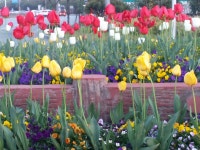 디아블로3 인벤 : 현재 창원대로 - 디아블로3 인벤 자유게시판 디아블로3 인벤 : 현재 창원대로