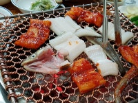 오버워치 인벤 : 눈이 예쁜 그녀는 맛있다 - 오버워치 인벤 자유게시판 오버워치 인벤 : 눈이 예쁜 그녀는 맛있다