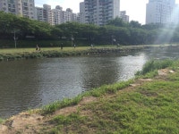 ☆개인휴무.. 오랜만에 온천천 갑니다.. | 포켓몬 GO 모바일인벤 ☆개인휴무.. 오랜만에 온천천 갑니다.. - 인벤 커뮤니케이션즈
