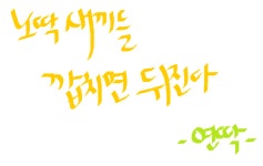 오버워치 인벤 : 야 진짜 나 손글씨 잘쓰는것같지않아?? - 오버워치 인벤 자유게시판 오버워치 인벤 : 야 진짜 나 손글씨 잘쓰는것같지않아??