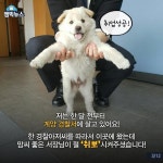 내이름은 계양, 경찰이죠! | 피파3 모바일인벤 내이름은 계양, 경찰이죠! - 인벤 커뮤니케이션즈