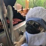 검은사막 인벤 : 58 찍을 때까지 보답의 편지를 안썼어.. - 검은사막 인벤 자유게시판 검은사막 인벤 : 58 찍을 때까지 보답의 편지를 안썼어..