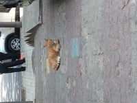 오버워치 인벤 : 이게 길막구 안비켜줌 ㅡㅡ - 오버워치 인벤 자유게시판 오버워치 인벤 : 이게 길막구 안비켜줌 ㅡㅡ