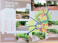포켓몬 GO 인벤 : 성남 희망대공원 알통몬 둥지 후기 - 포켓몬GO 인벤 게시판