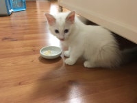 검은사막 인벤 : 렉돌2 - 검은사막 인벤 자유게시판 검은사막 인벤 : 렉돌2