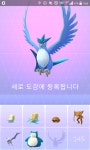 포켓몬 GO 인벤 : 서면 원정 성공적 - 포켓몬GO 인벤 게시판