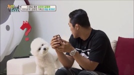 아키에이지 인벤 : ? - 아키에이지 인벤 키프로사 서버 게시판 아키에이지 인벤 : ?